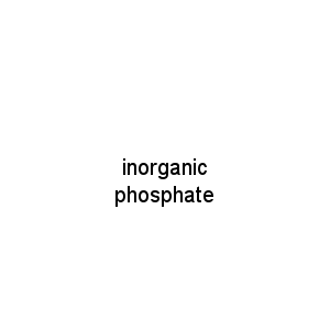 inorganic phosphate